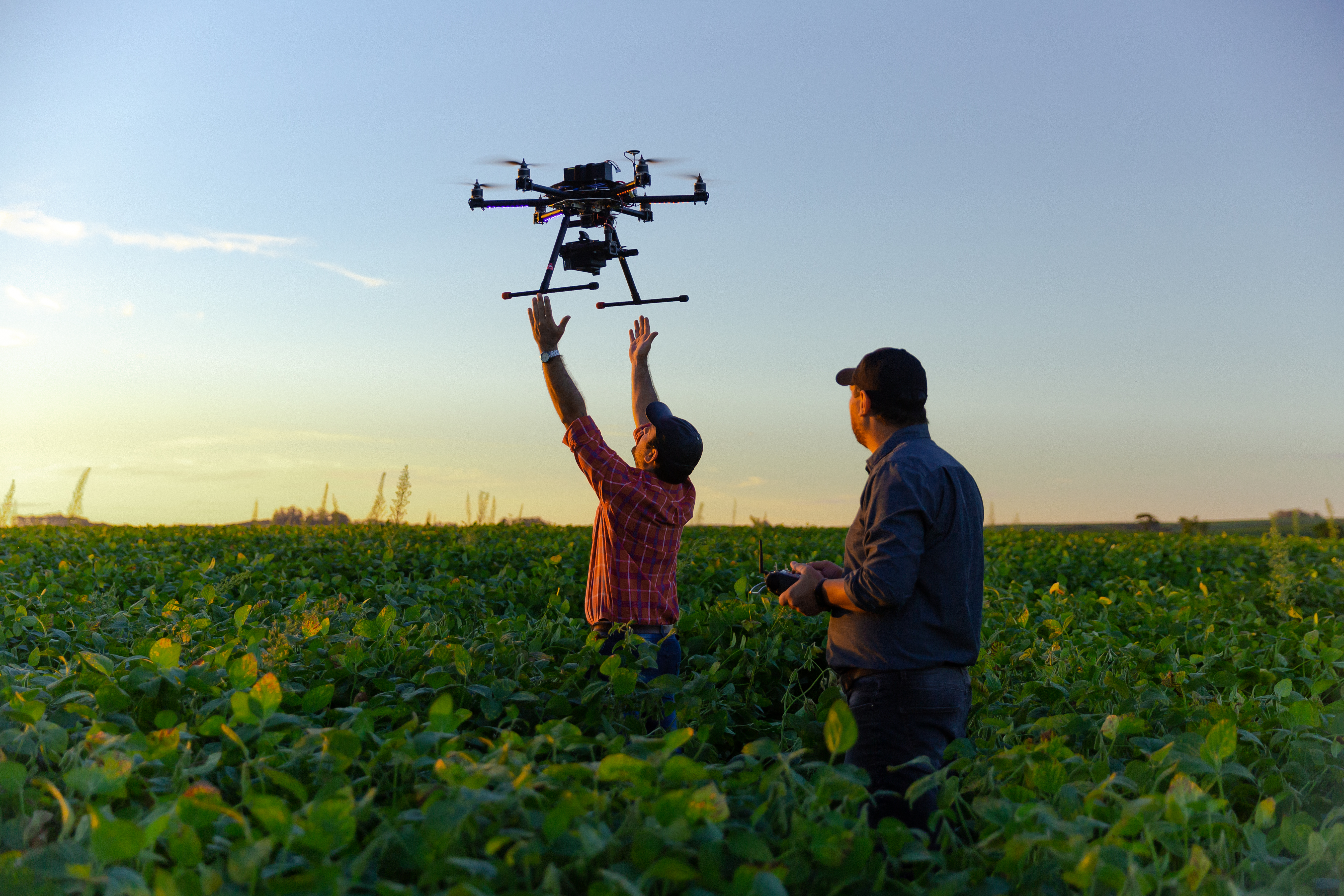 Drone