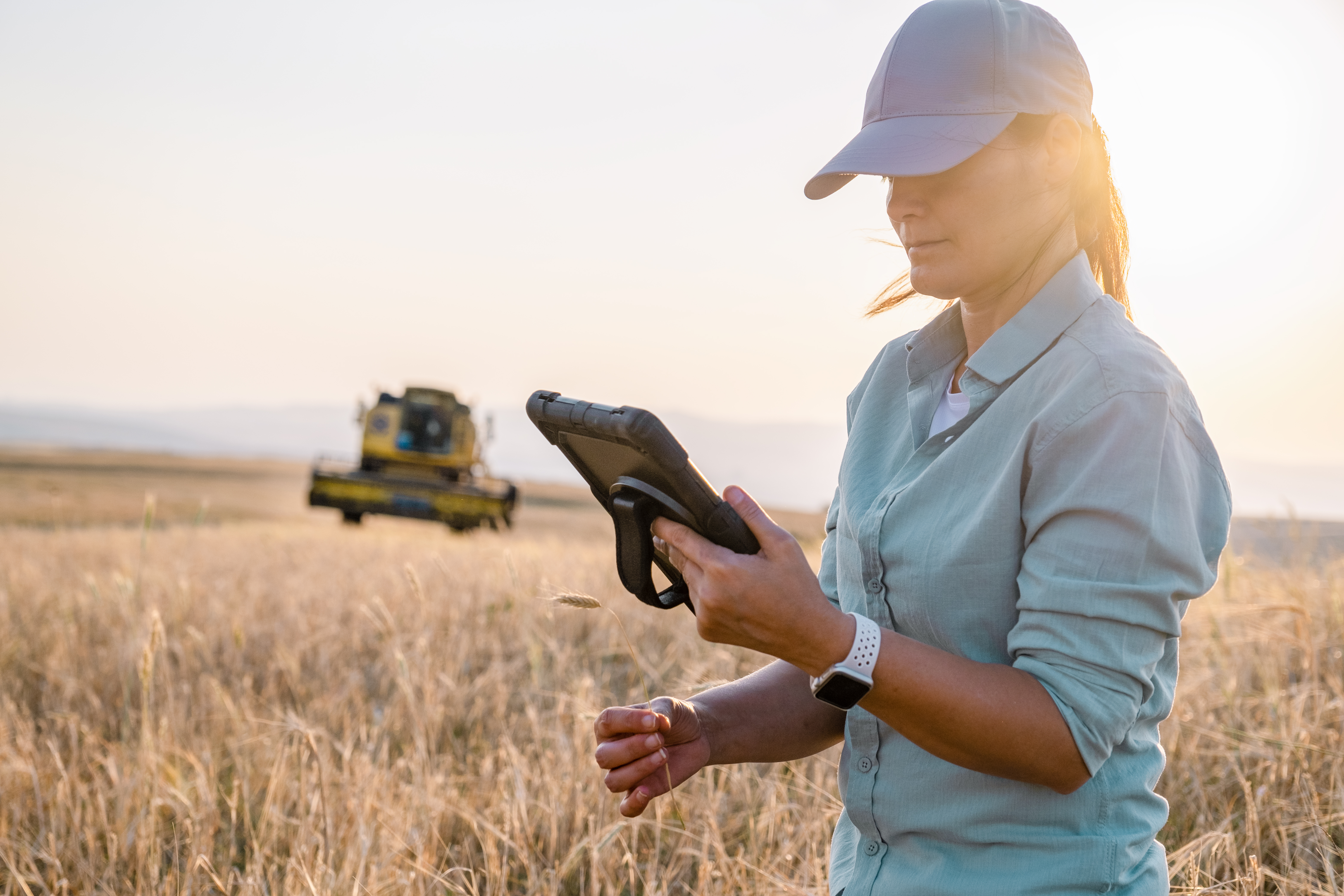 Modern Farmer