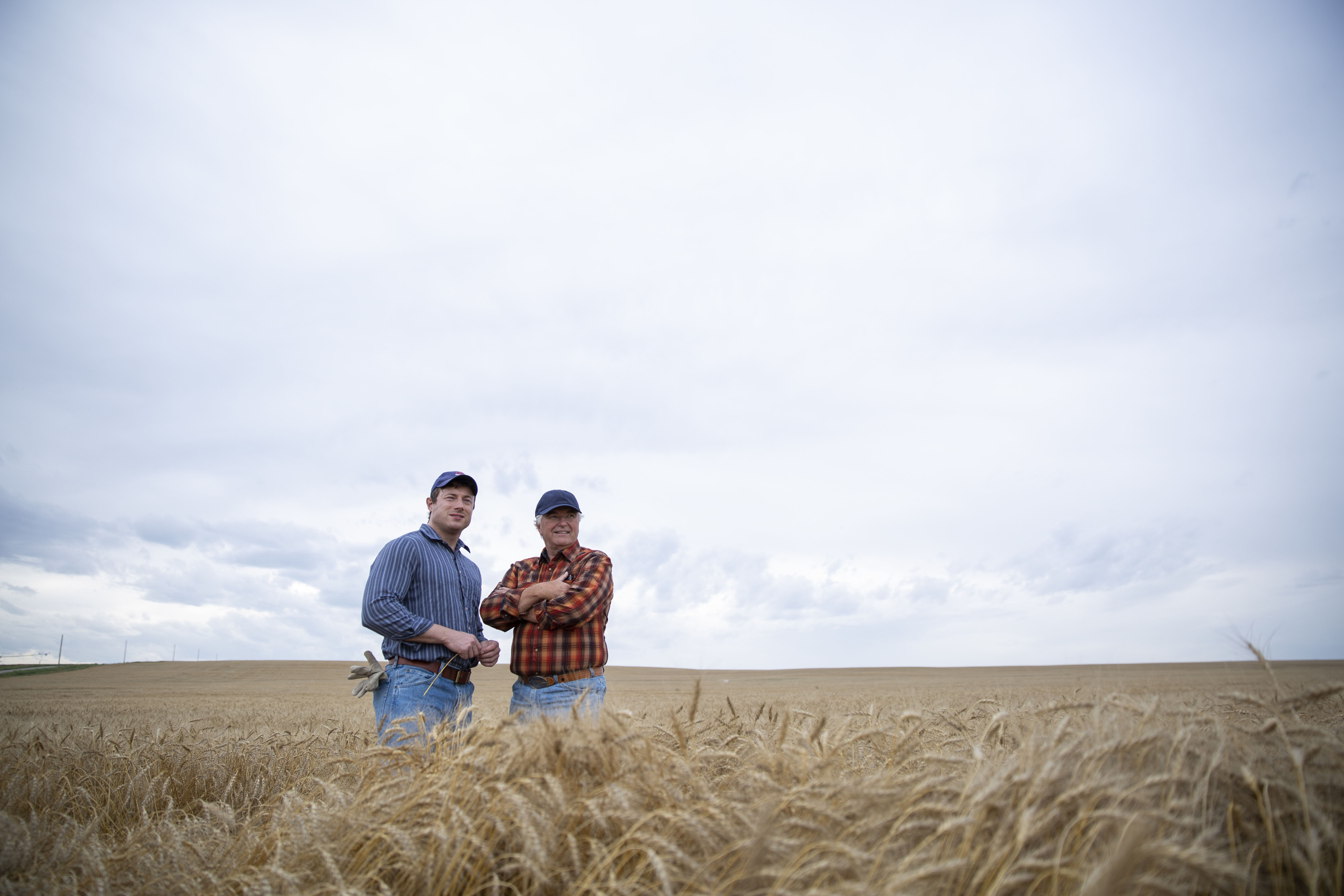 Farmers Standing In Wheat Field