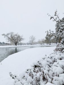 IMG_0328-225x300