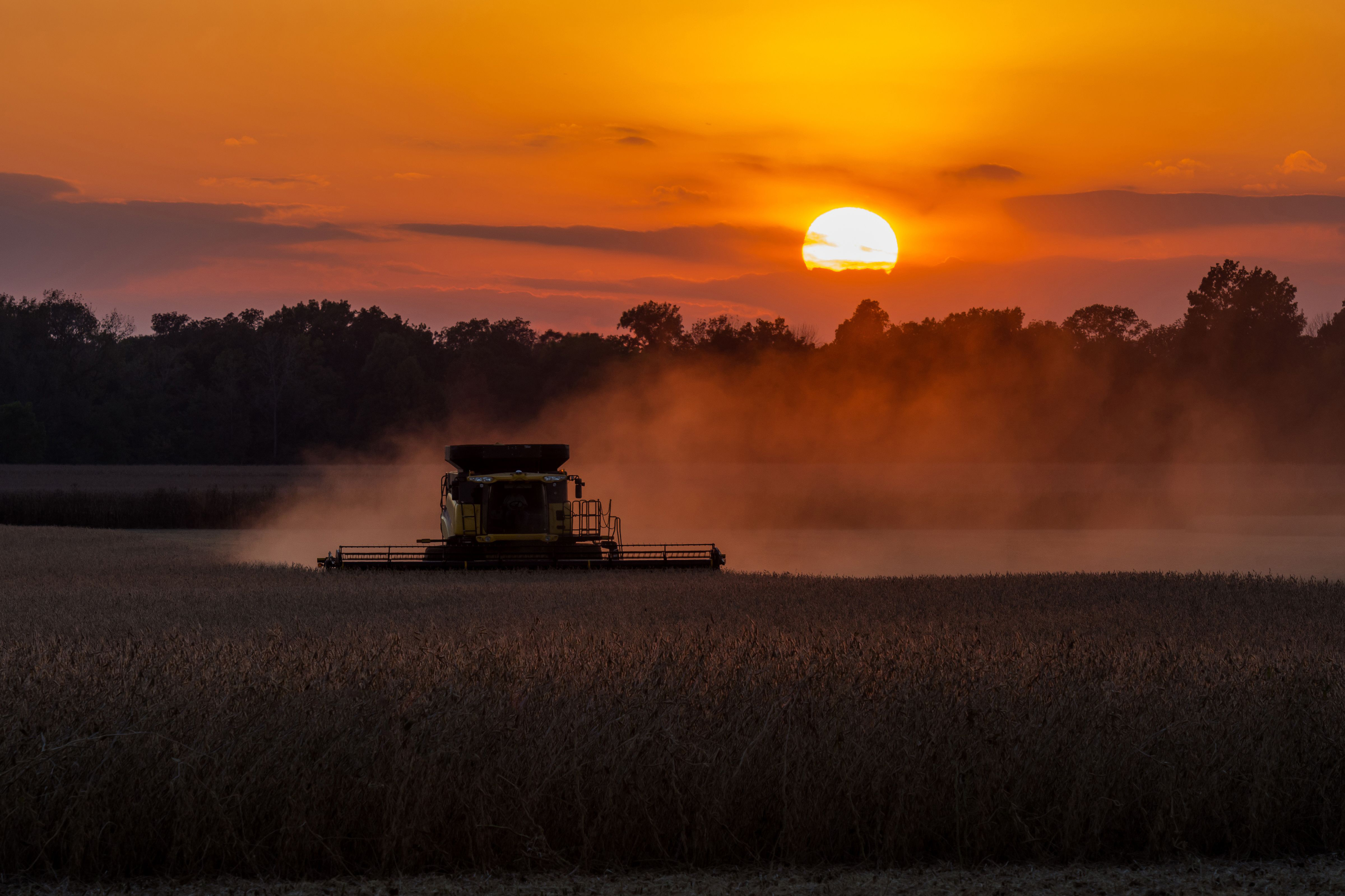 Combine Harvester At Sunset