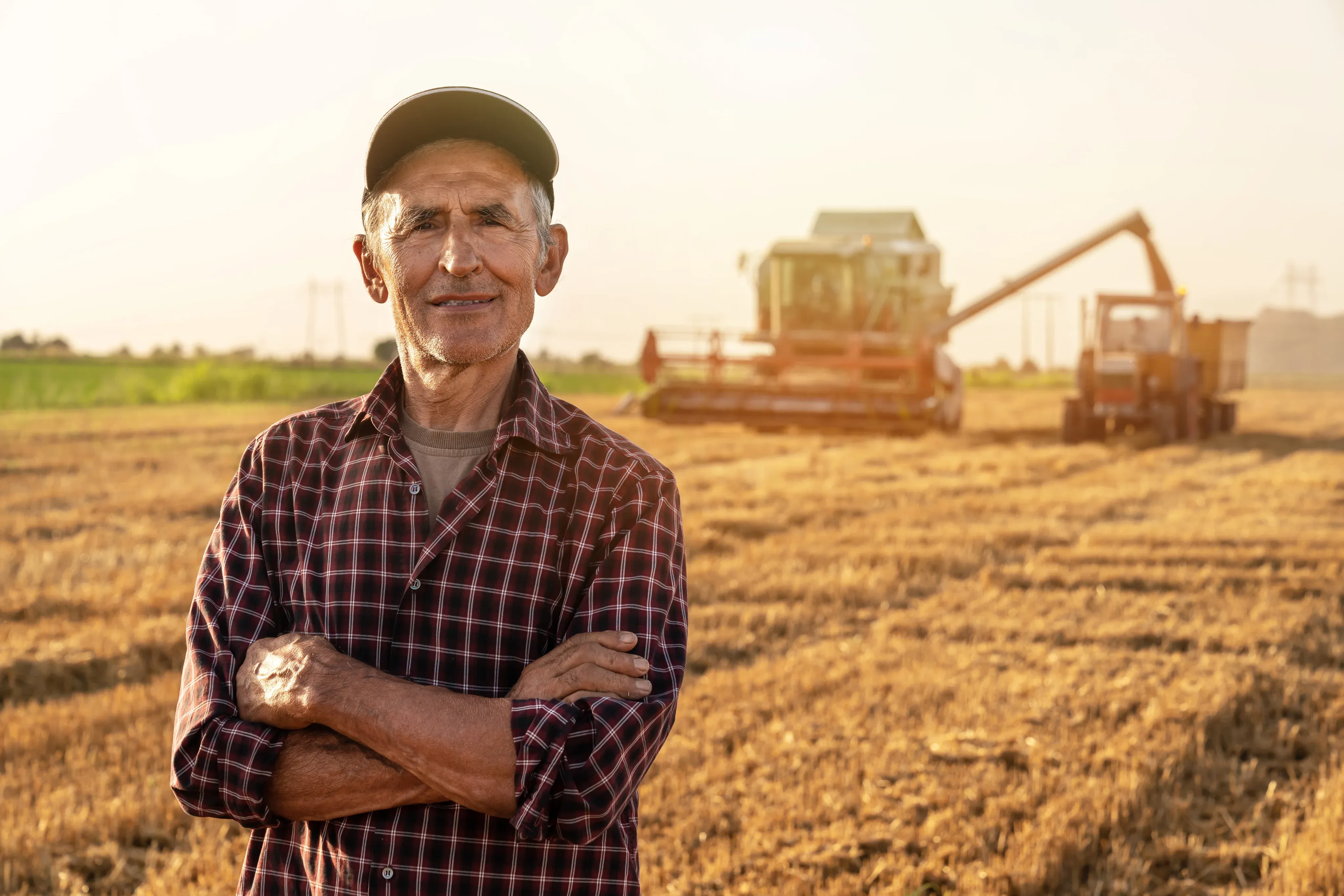 Farmer Standing In Harvest Field