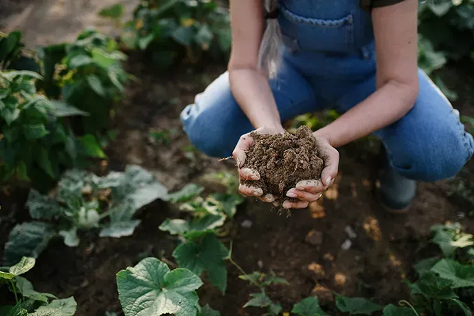 Gardening Hands