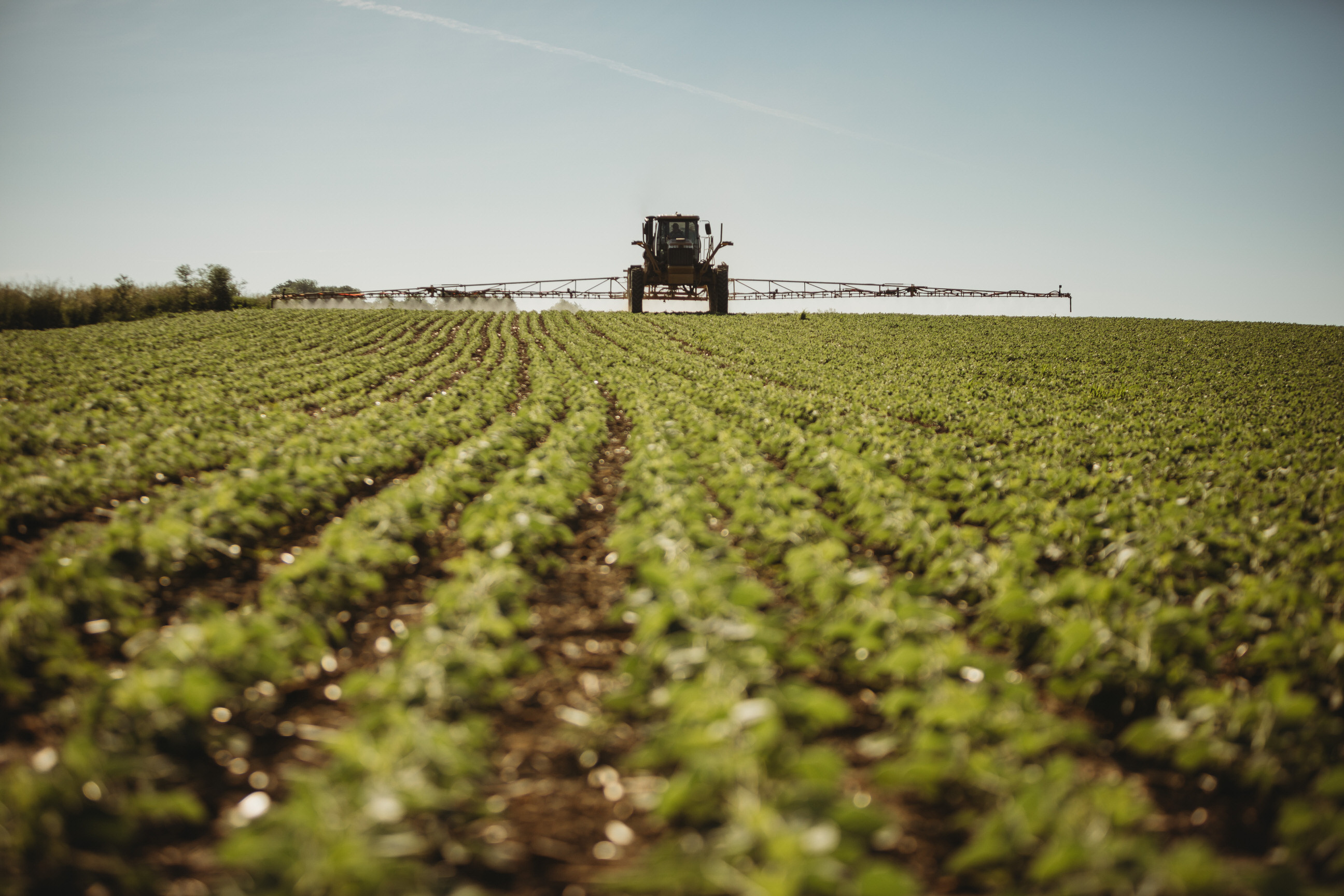 Spraying