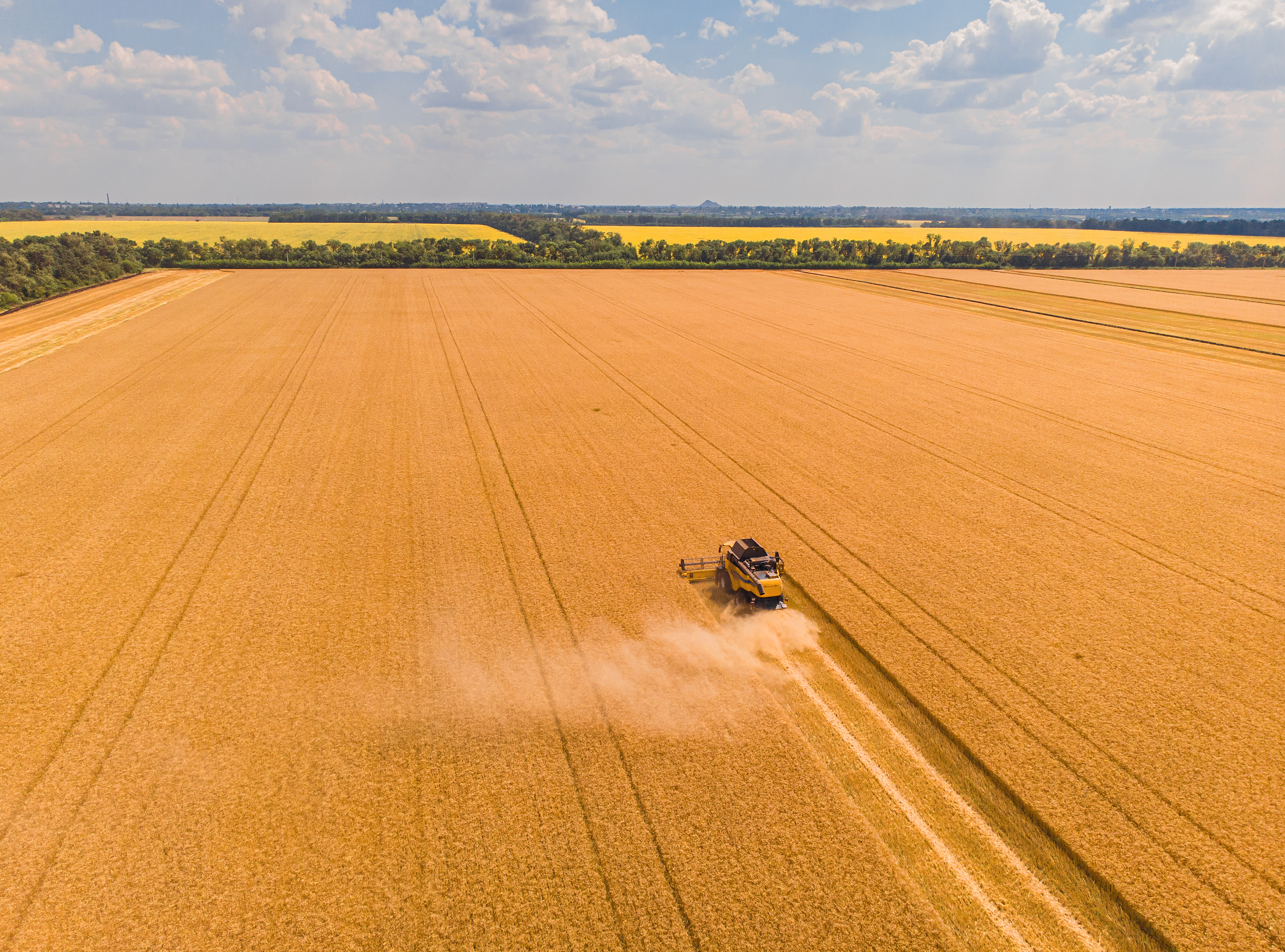 Wheat Field Harvest Aerial