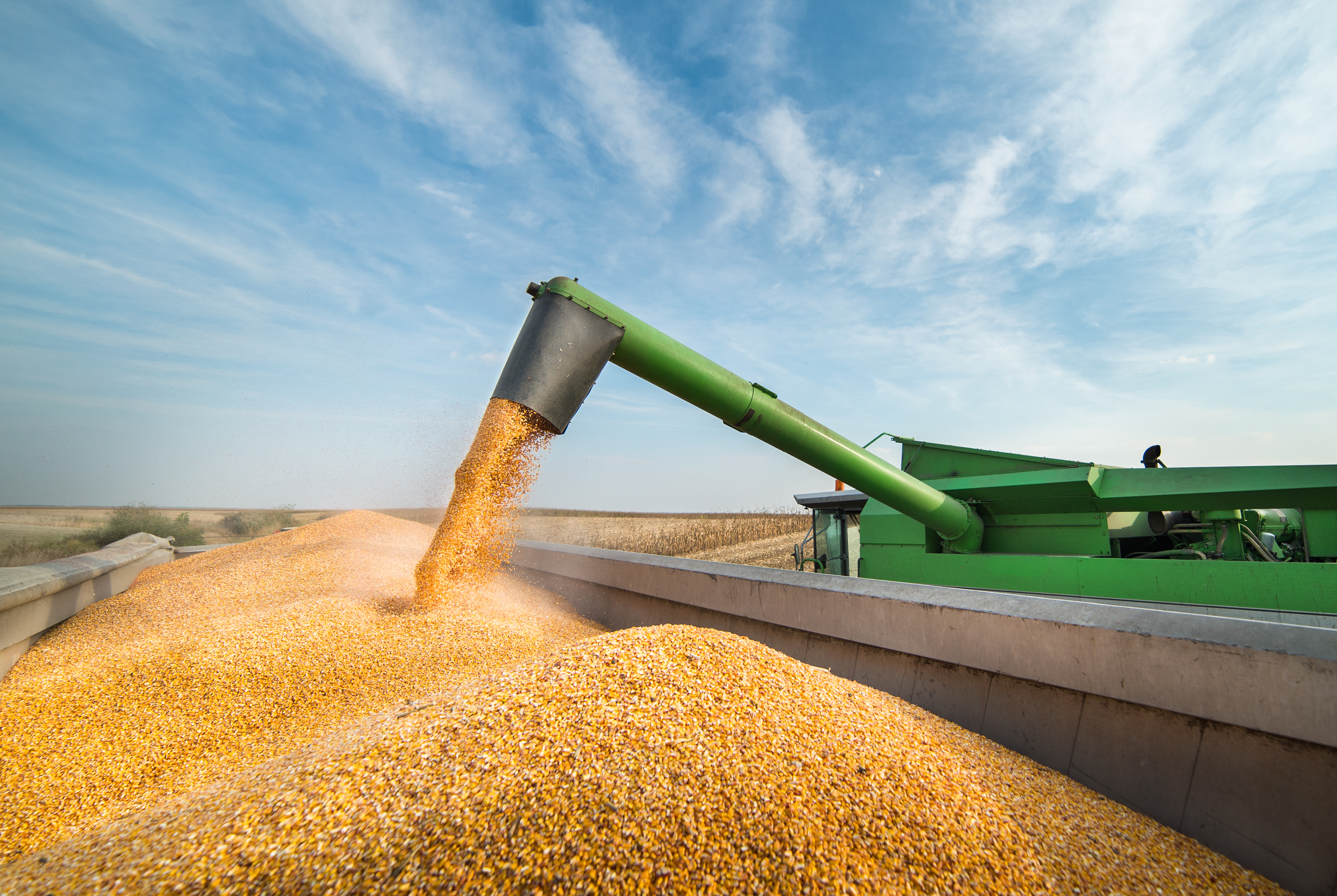 Combine Harvester Uploading Corn